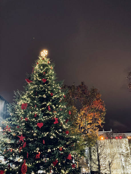 istock Christmas tree in Budapest, Hungary 1446980050
