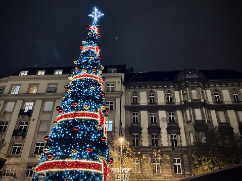 Christmas tree at St Stephen's Basilica, Hungary