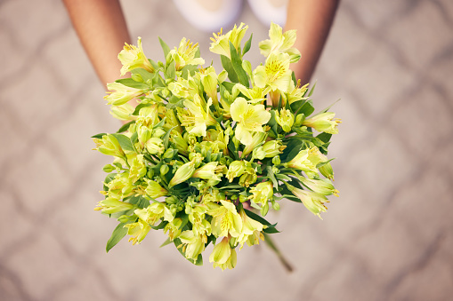 Flowers, gift and person with bouquet for thank you, support or love in a road or street in the city. Man or woman with a yellow lily flower as a present of gratitude, birthday or celebration