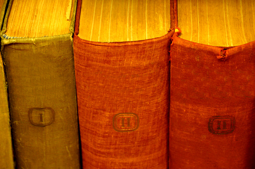 Old and worn books in cloth binding on the bookshelf