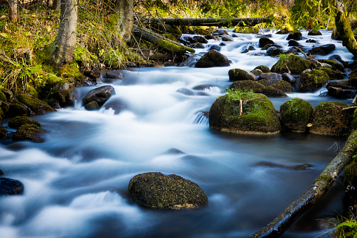 Vacations in Poland - Bystra stream in the Bystra valley in the Tatra Mountains