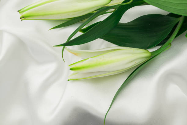 A bouquet of white and rose colored lily flowers on the green pool table designed for greeting cards or for a message to congratulate someone. It is inside of the house and is located in Corona California. During winter time, January month of 2026.