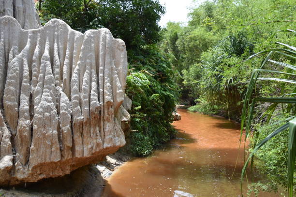 Mui Ne Fairy Stream Detail with Limestone Formation, Frame Left stock photo