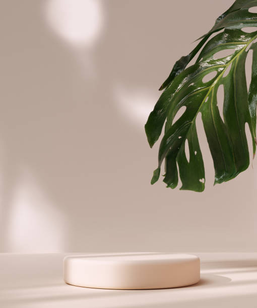 istock Monstera leaf on beige pastel wall with window light shadows, 3d rendering cosmetic product display mockup 1446987081