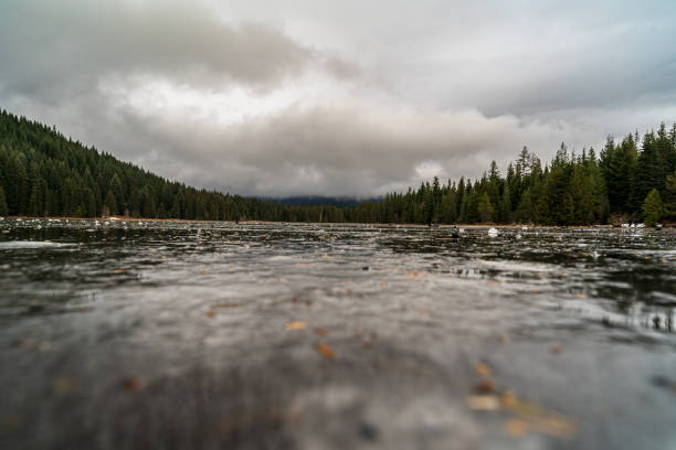 Pier over frozen lake,  Lost Lake, Whistler