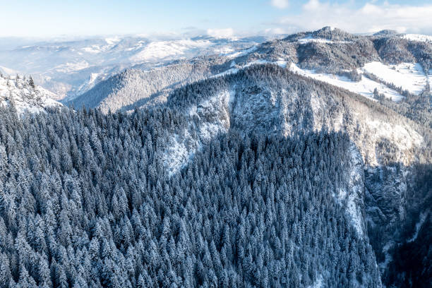istock ROMANIA - CARPATHIAN MOUNTAINS 1446994668