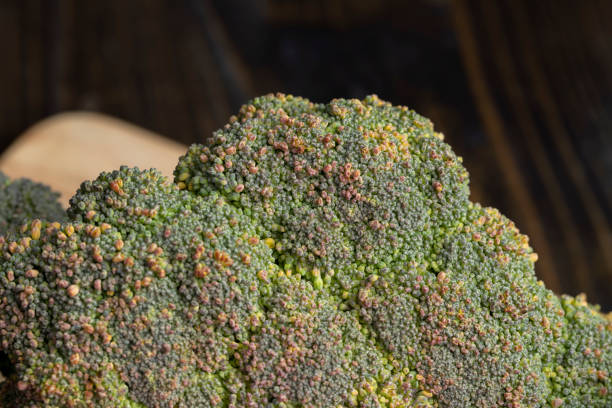 Green ripe broccoli in raw form