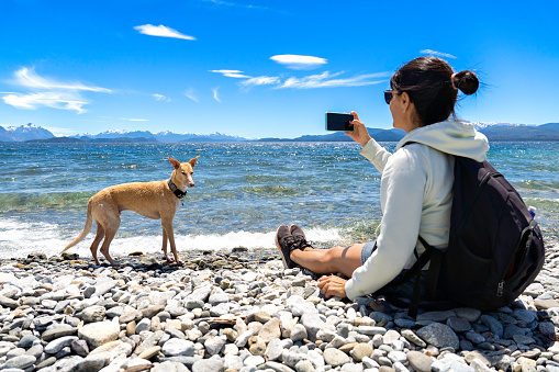 woman takes a picture of her dog in the lake, after playing in the water.