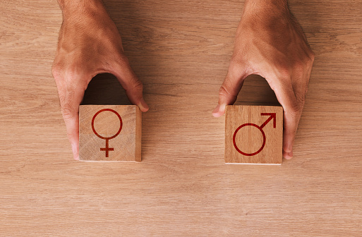 Wood block, gender and sex equality backgrounds of male, female and identity sign, choice and symbols. Closeup sexuality icons cube for fair opportunity, human rights bias and social transformation