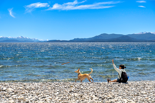 A young woman plays with her dog in the Lake. Throws a stick to the dog.