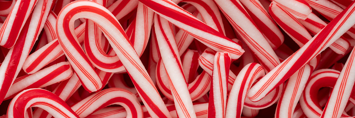 Macro panoramic photograph of festive holiday candy canes in a group.