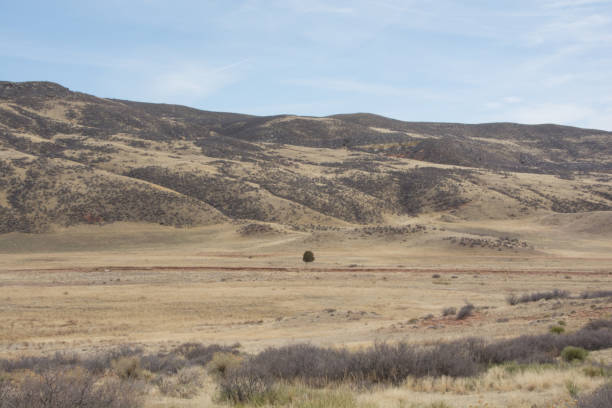 istock Red Mountain Open Space in Northern Colorado 1447004358