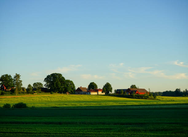 istock Scenic view of field against clear sky 1447006137