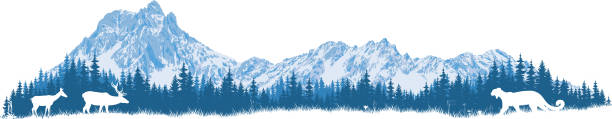 illustrations, cliparts, dessins animés et icônes de autocollant mural vector mountains avec cerfs et puma couguar - rocky mountains panoramic colorado mountain