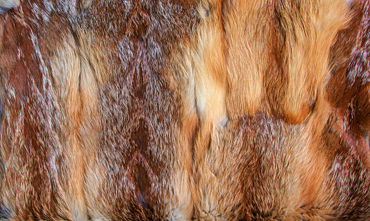 Seamless Leopard fabric. Animal skin. Textile
