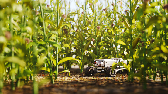 Agricultural robot driving through a cornfield