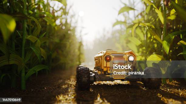 Agricultural Robot In Cornfield Stock Photo - Download Image Now - Agriculture, Robot, Artificial Intelligence