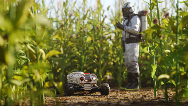 istock Agricultural robot in cornfield 1447010660
