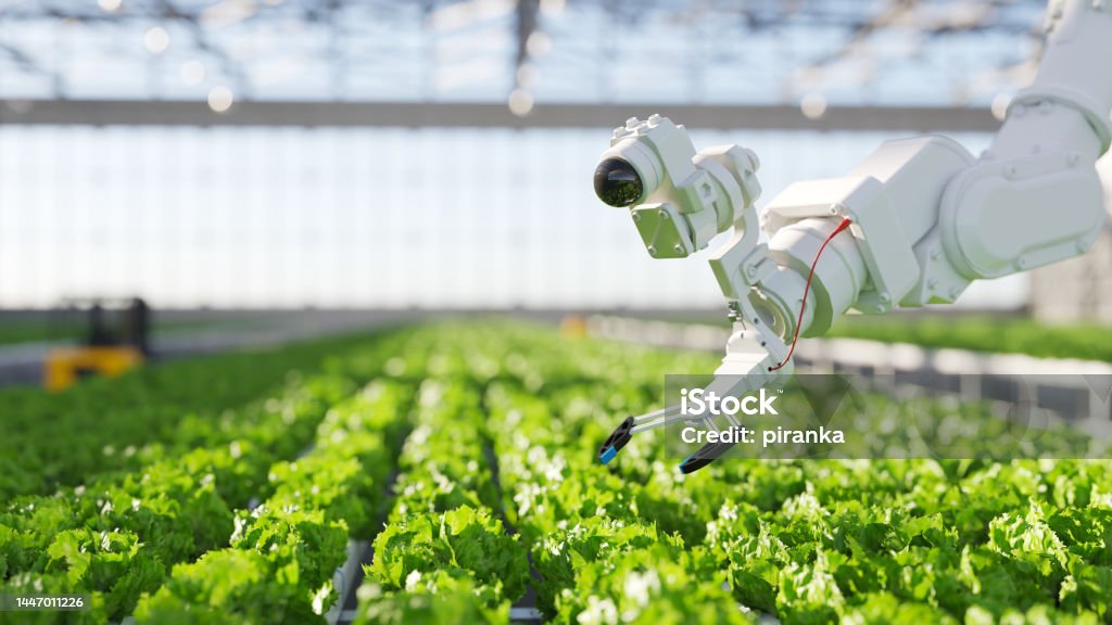 Hydroponic robot farming Automation and robotics in hydroponic farming Artificial Intelligence Stock Photo