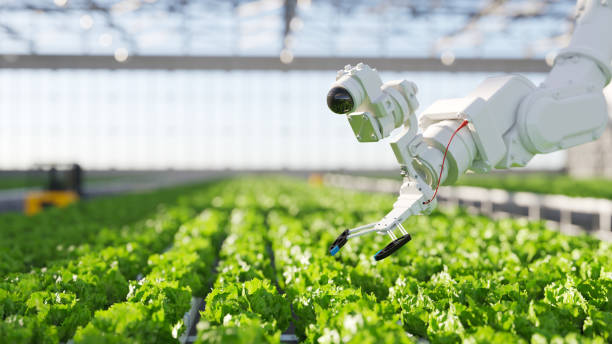 Hydroponic robot farming Automation and robotics in hydroponic farming argiculture stock pictures, royalty-free photos & images