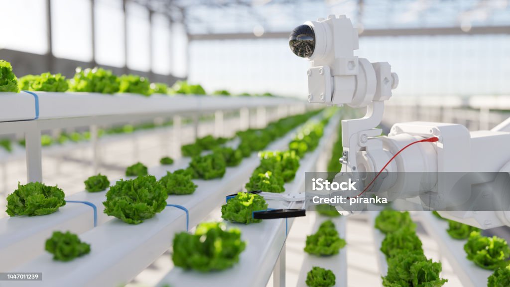 Fully automated farm Automated hydroponic farm run by robotic arms Food Stock Photo Fully automated farm Automated hydroponic farm run by robotic arms Food Stock Photo