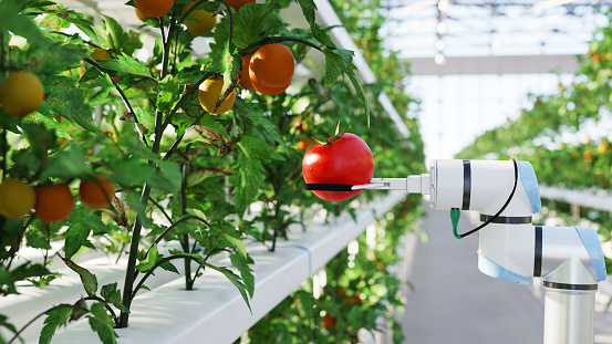 Automated hydroponic farm run by robots