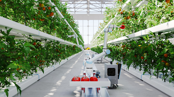 Automated hydroponic farm run by robots