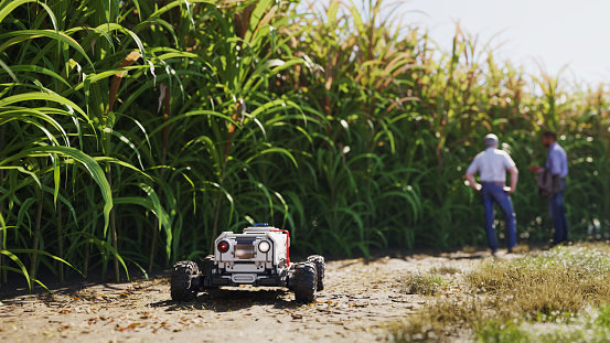 Agricultural robot driving through a sugar cane plantation