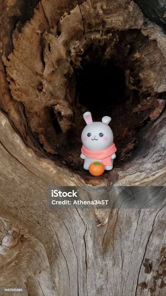 Tree With Rabbit Hole Rabbit In Tree Hole Stock Photo - Download Image Now - 2023, Animal ...
