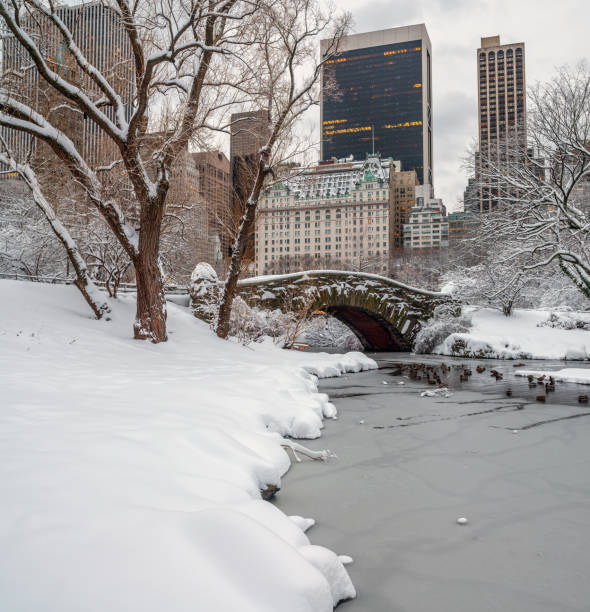 istock Gapstow Bridge in Central Park after snow 1447013414