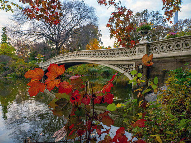 istock Bow bridge in late autumn 1447013571