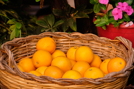 Wicker basket with fresh oranges - Mdina, Malta