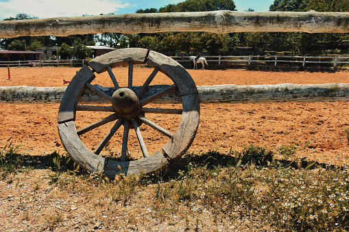 Old wooden wagon wheel in horse farm with a horse background