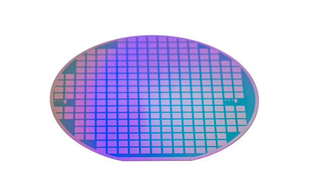 istock Silicon wafer with chips isolated on white background 1447020558