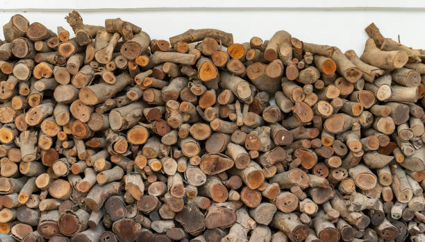 stack of wood logs. preparation of firewood for the winter. - cutting tree moving down bark imagens e fotografias de stock