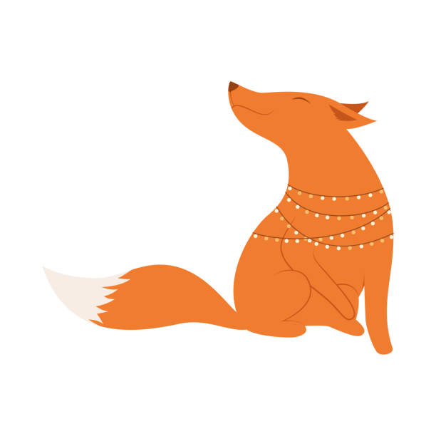 bildbanksillustrationer, clip art samt tecknat material och ikoner med red fox with a white tail - red fox snow