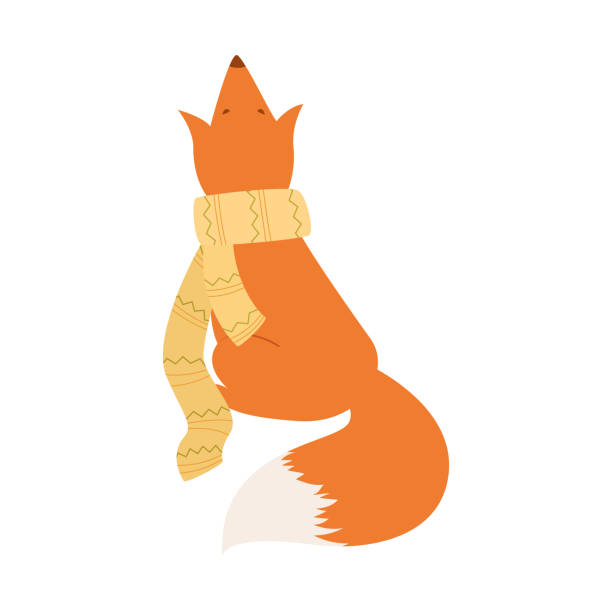 bildbanksillustrationer, clip art samt tecknat material och ikoner med red fox with a white tail - red fox snow