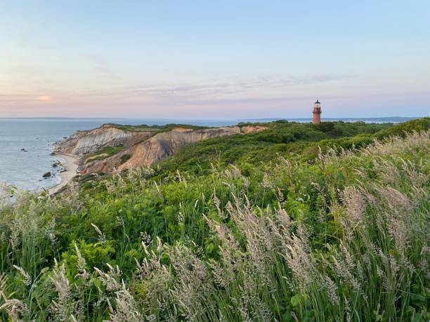 martha’s vineyard, ma 3 - lighthouse massachusetts beach coastline imagens e fotografias de stock