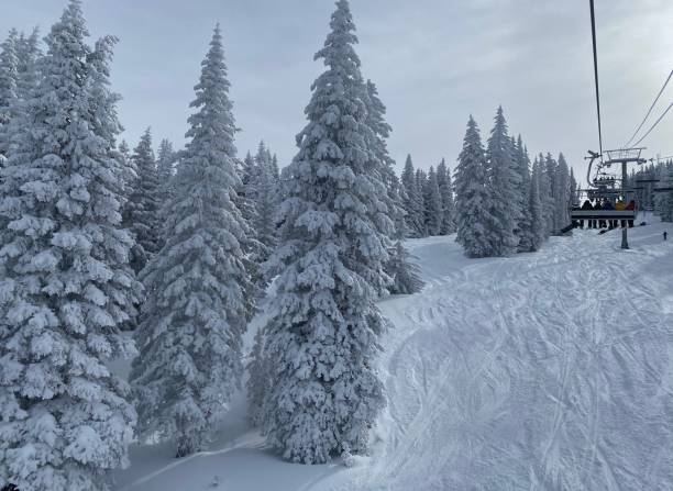 istock Vail Mtn, Colorado 1447025164