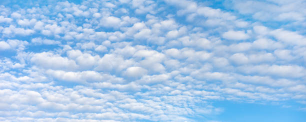 istock Blue sky with white clouds in sunny day. Long banner, header. 1447028004