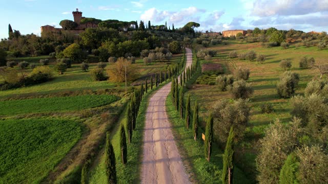 famous landscape of Tuscany with cypresses trees in Val d'orcia. aerial drone footage