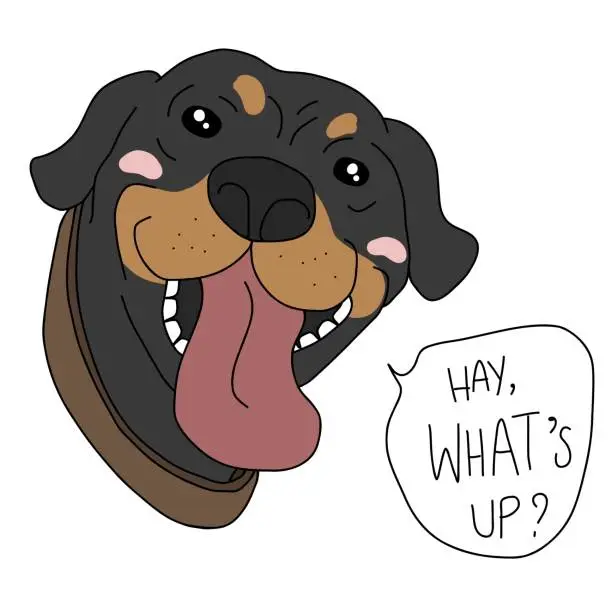 Vector illustration of Rottweiler dog face say Hay, What's up? cartoon vector illustration