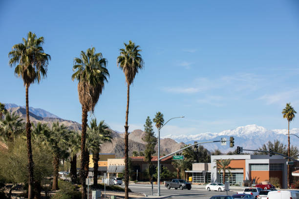 istock Palm Desert, California 1447056795