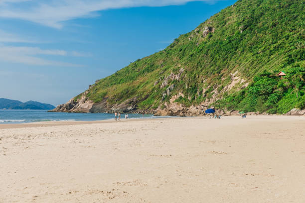 istock Sand beach and ocean with mountain in Brazil, Floripa 1447057566