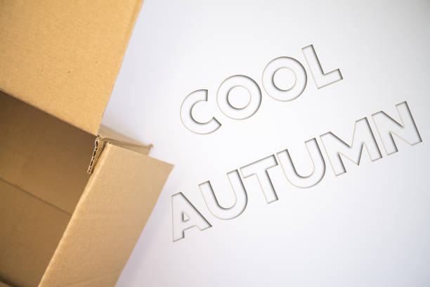 istock Cool Autumn word with cardboard box. Brown folded card box. 1447058915