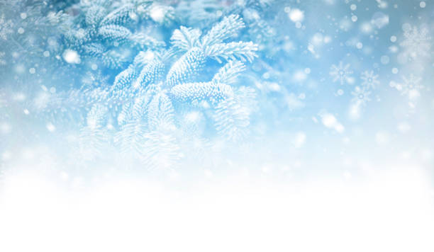 istock christmas blue background with snowflakes 1447061019