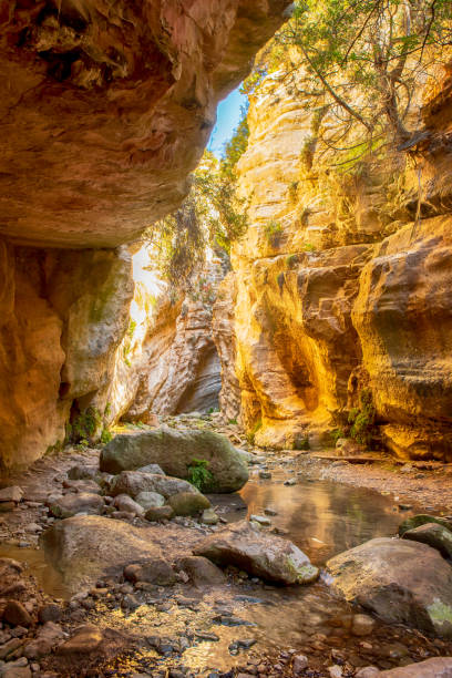 paisaje con garganta de avakas, chipre - akamas fotografías e imágenes de stock