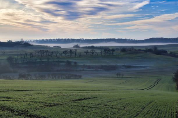 istock Foggy landscape in the Harz Mountains 1447070193