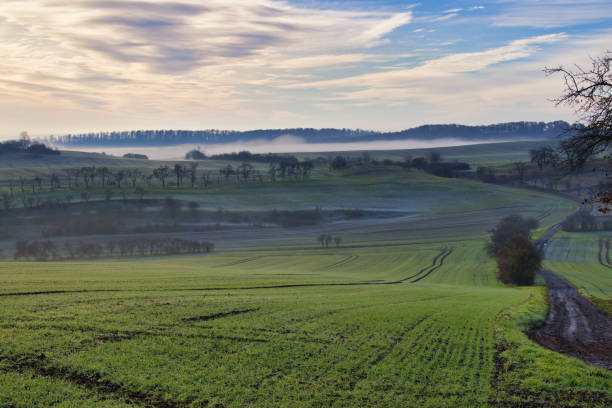 istock Foggy landscape in the Harz Mountains 1447070277