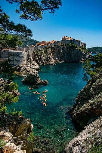 Toma vertical de las murallas de Dubrovnik con un estanque vibrante y cubierto de musgo de la fortaleza de Lovrijenac photo